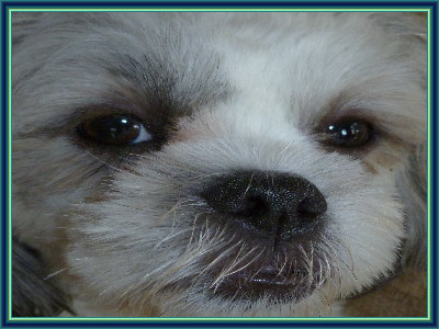 snooky01