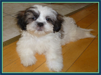snooky05