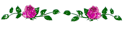fleurs