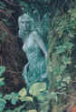 fairy