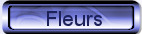 Lien fleurs